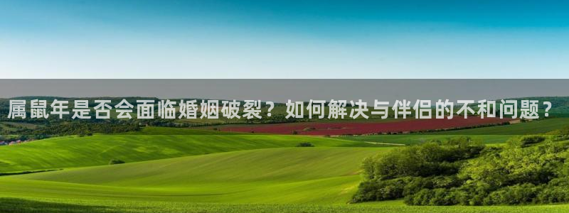 壹号注册入口app下载：属鼠年是否会面临婚姻破裂？如何解决与伴侣的不和问题？