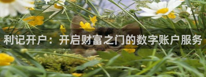 星耀国际退款怎么退：利记开户：开启财富之门的数字账户服务