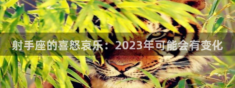星耀国际平台官网版最新：射手座的喜怒哀乐：2023年可能会有变化