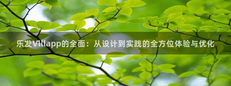星耀国际app最新版：乐发Vlllapp的全面：从设计到实践的全方位体验与优化