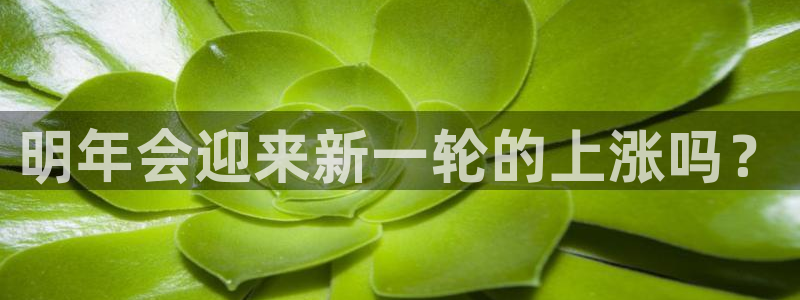 星耀国际网站：明年会迎来新一轮的上涨吗？