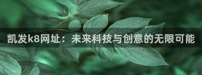 星耀国际账号注册：凯发k8网址：未来科技与创意的无限可能