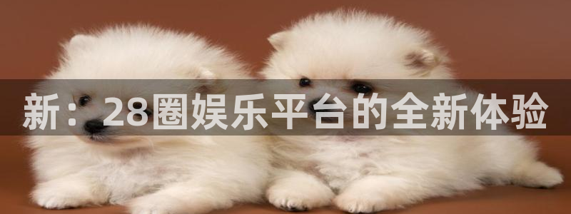 星耀国际游戏试玩：新：28圈娱乐平台的全新体验