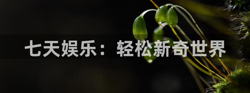 星耀国际娱乐：七天娱乐：轻松新奇世界