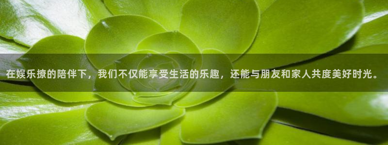 星耀国际下载并安装：在娱乐撩的陪伴下，我们不仅能享受生活的乐趣，还能与朋友和家人共度美好时光。