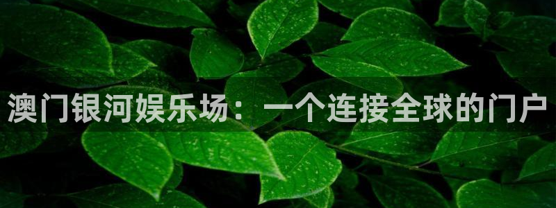 星耀国际免费注册：澳门银河娱乐场：一个连接全球的门户