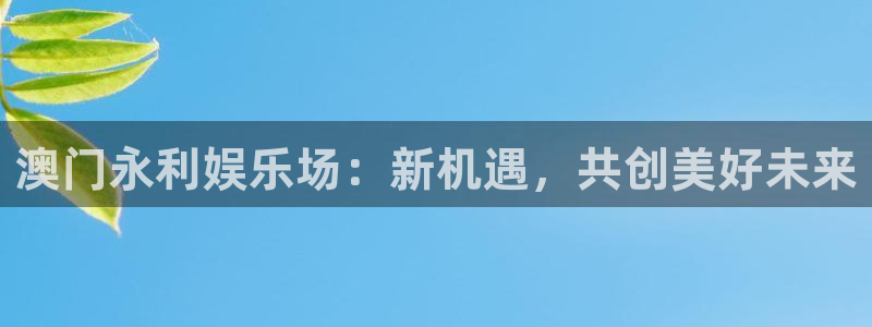 星耀国际登录网：澳门永利娱乐场：新机遇，共创美好未来