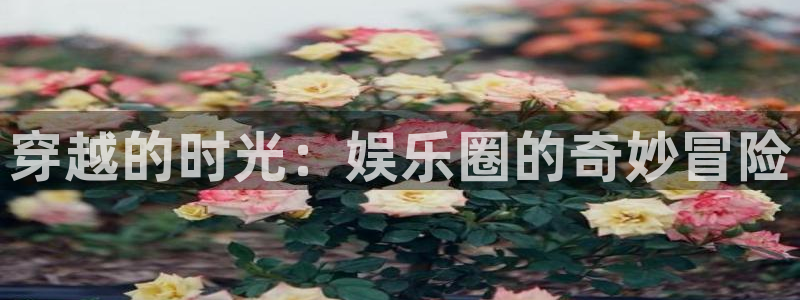 壹号app下载官方网站：穿越的时光：娱乐圈的奇妙冒险