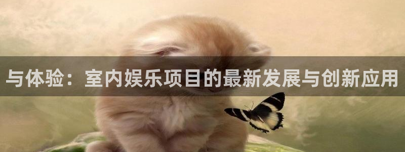 星耀国际游戏试玩：与体验：室内娱乐项目的最新发展与创新应用