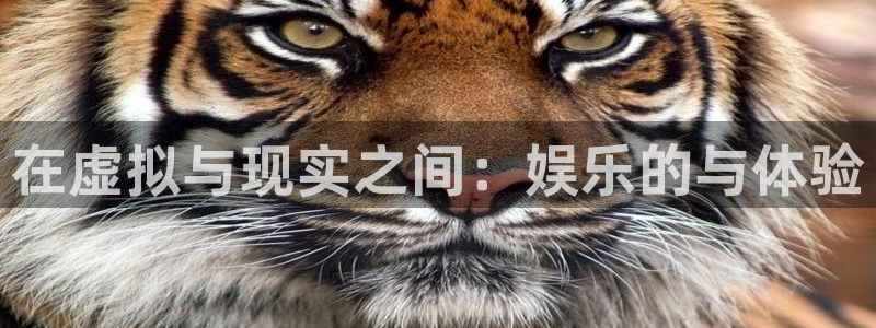 星耀国际app官网下载：在虚拟与现实之间：娱乐的与体验