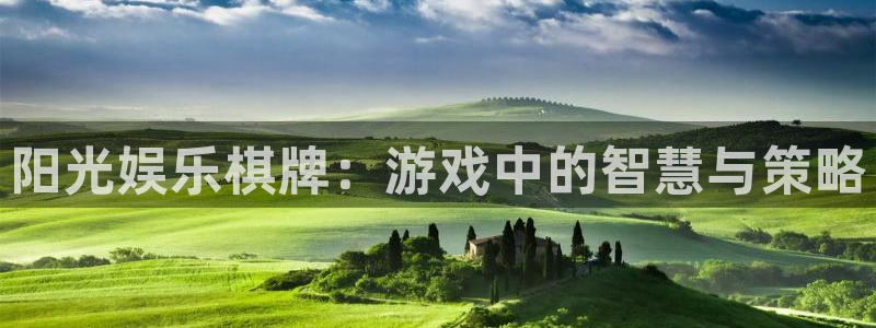 星耀国际平台app下载安装