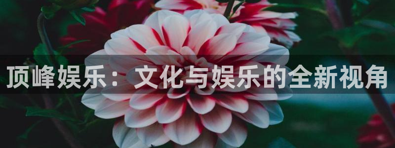 星耀国际.ccmpc登录