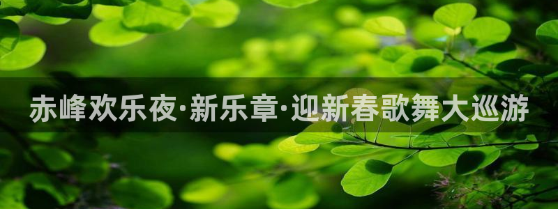 星耀国际官网地址